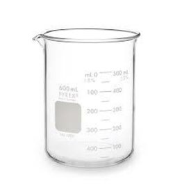 600 mL Beaker Glass