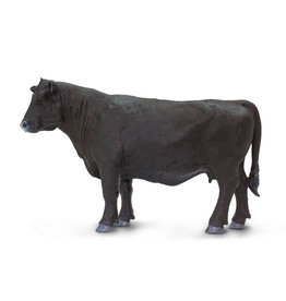 Angus Cow