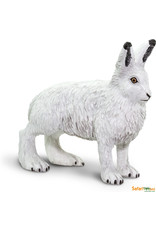 Arctic Hare