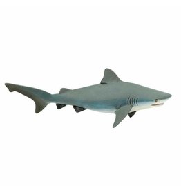 Bull Shark