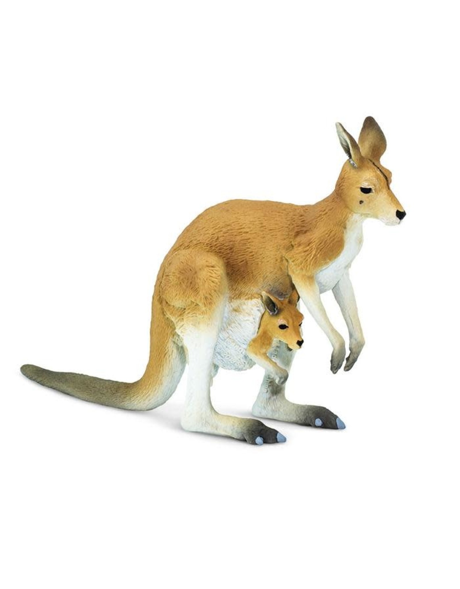 Kangaroo with Baby