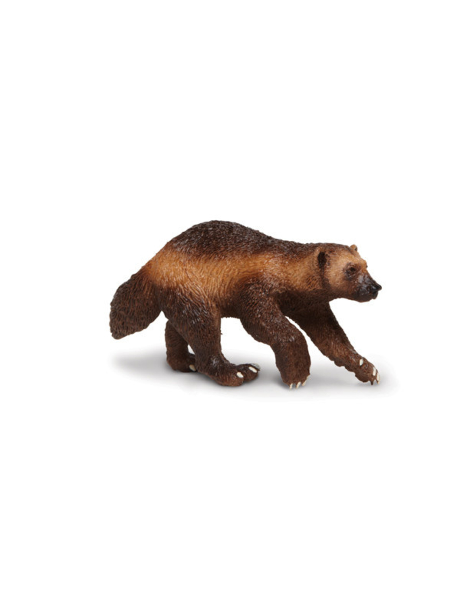 Wolverine