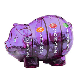 Money Savvy Piggy Bank Purple