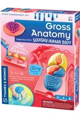 Gross Anatomy: Squishy Human Body