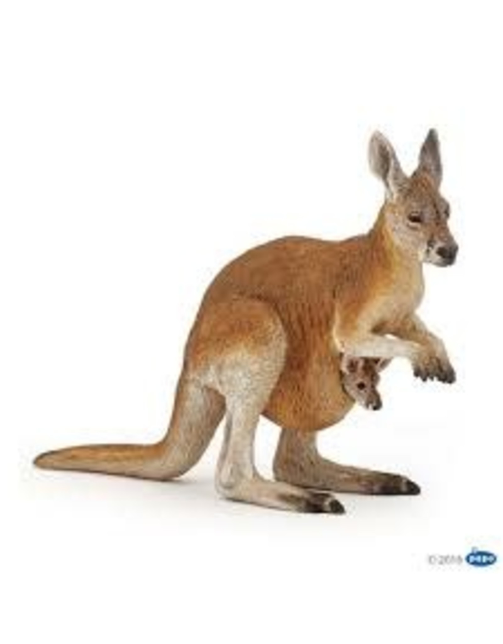 Kangaroo with Joey