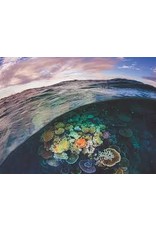 Great Barrier Reef 1000 pc