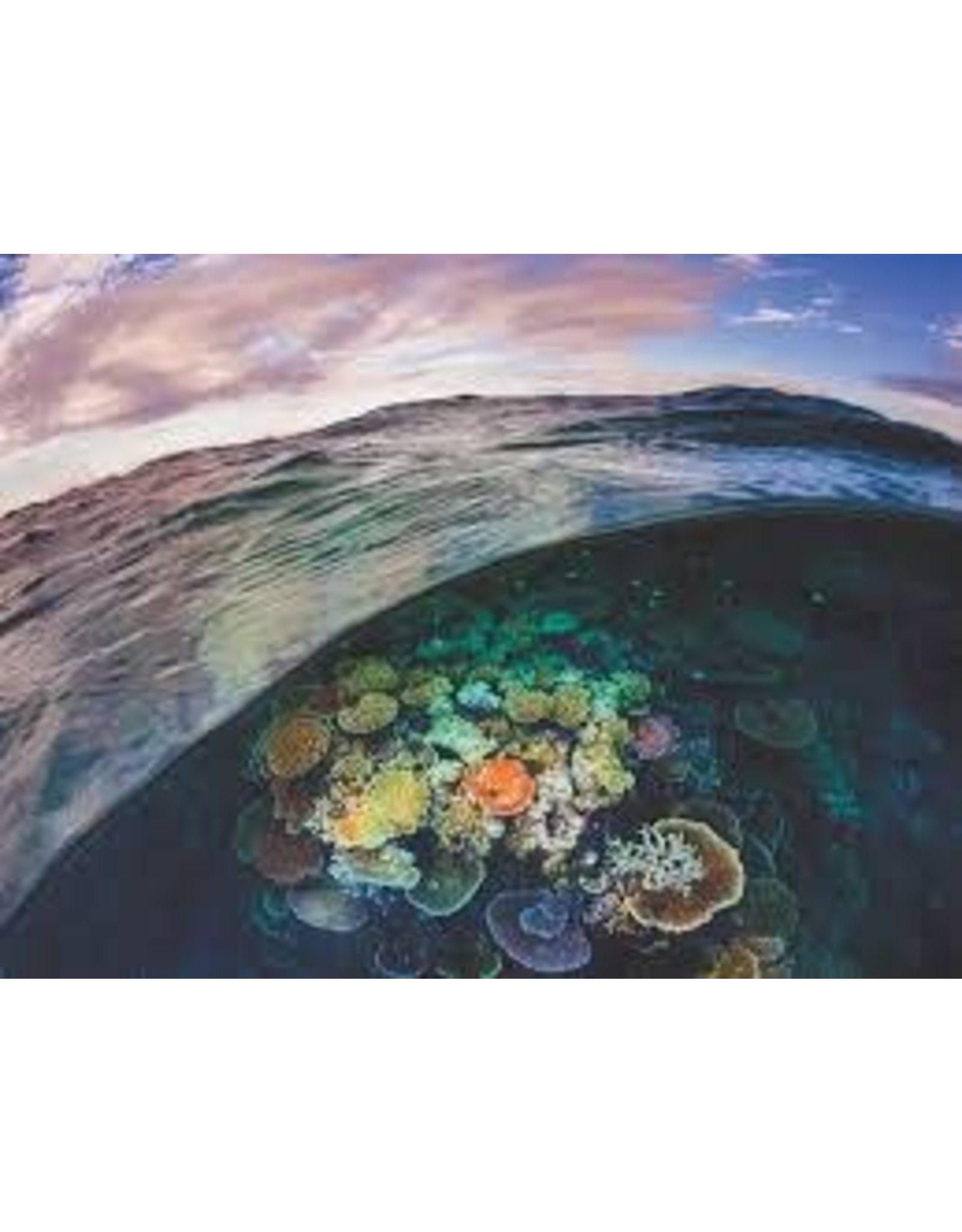 Great Barrier Reef 1000 pc