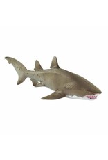 Sand Tiger Shark