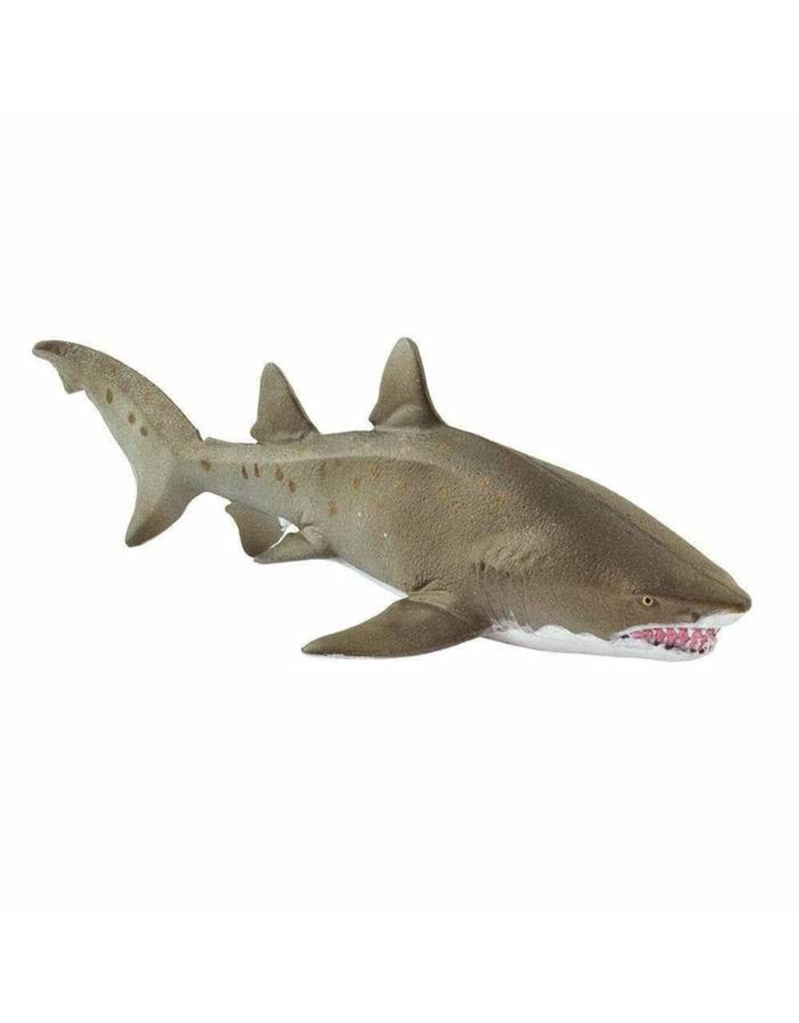 Sand Tiger Shark