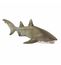 Sand Tiger Shark