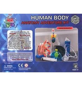 Human Body Anatomy  Adventure Kit