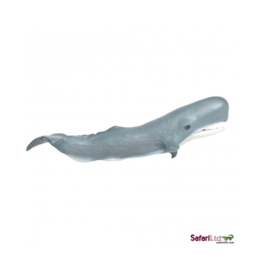 Sperm Whale
