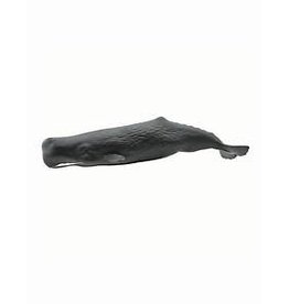 Sperm Whale