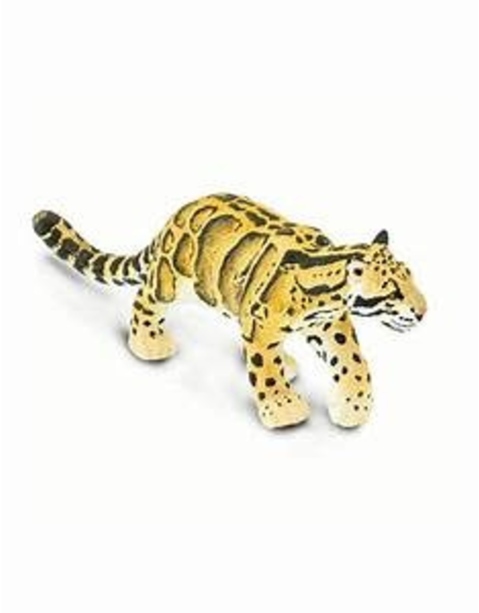 Clouded Leopard