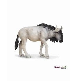 Blue Wildebeest Blue Wildebeest