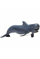 Pilot  Whale