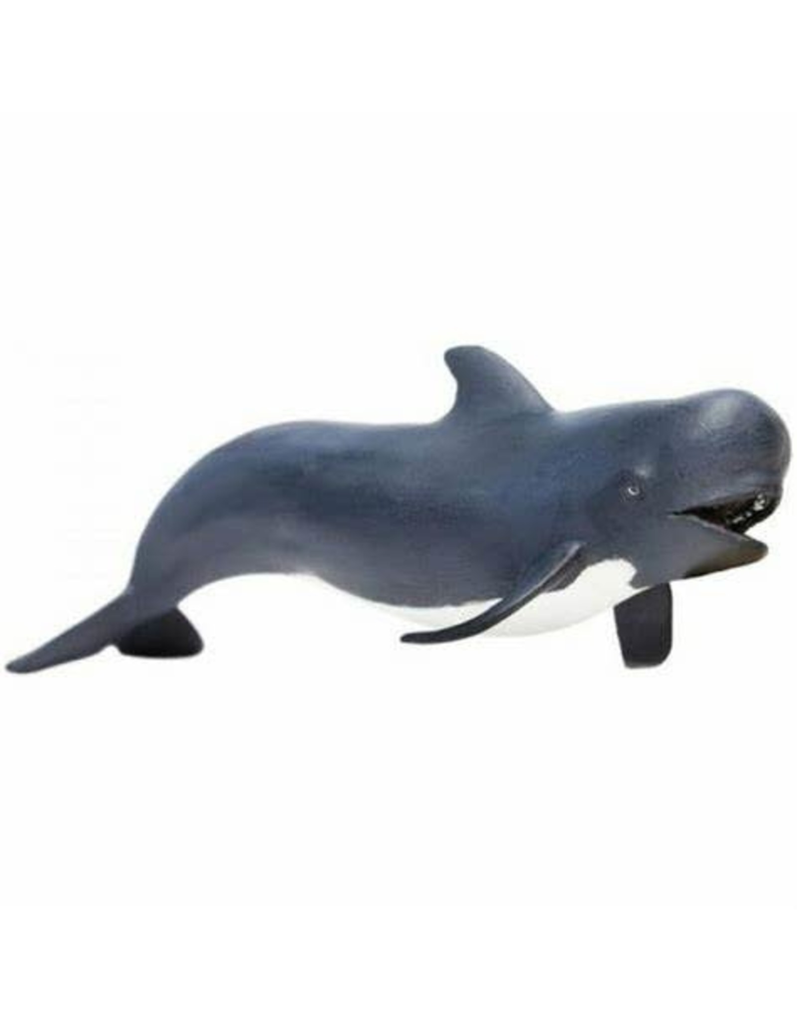 Pilot  Whale