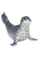 Spotted Seal