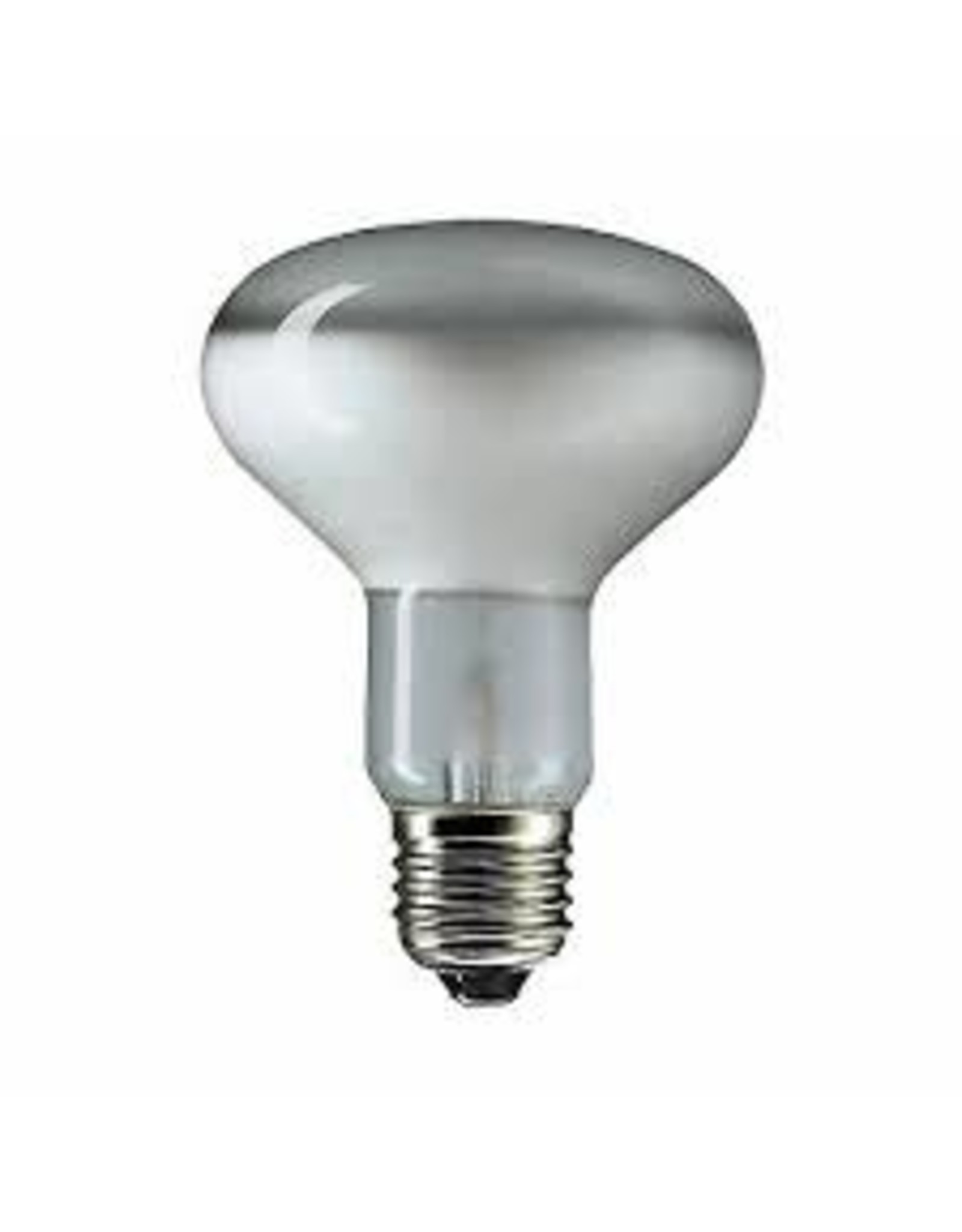 Lava Lamp Replacement 100W Light Bulb