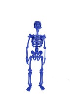 Homo Sapiens 3D Puzzle Blue