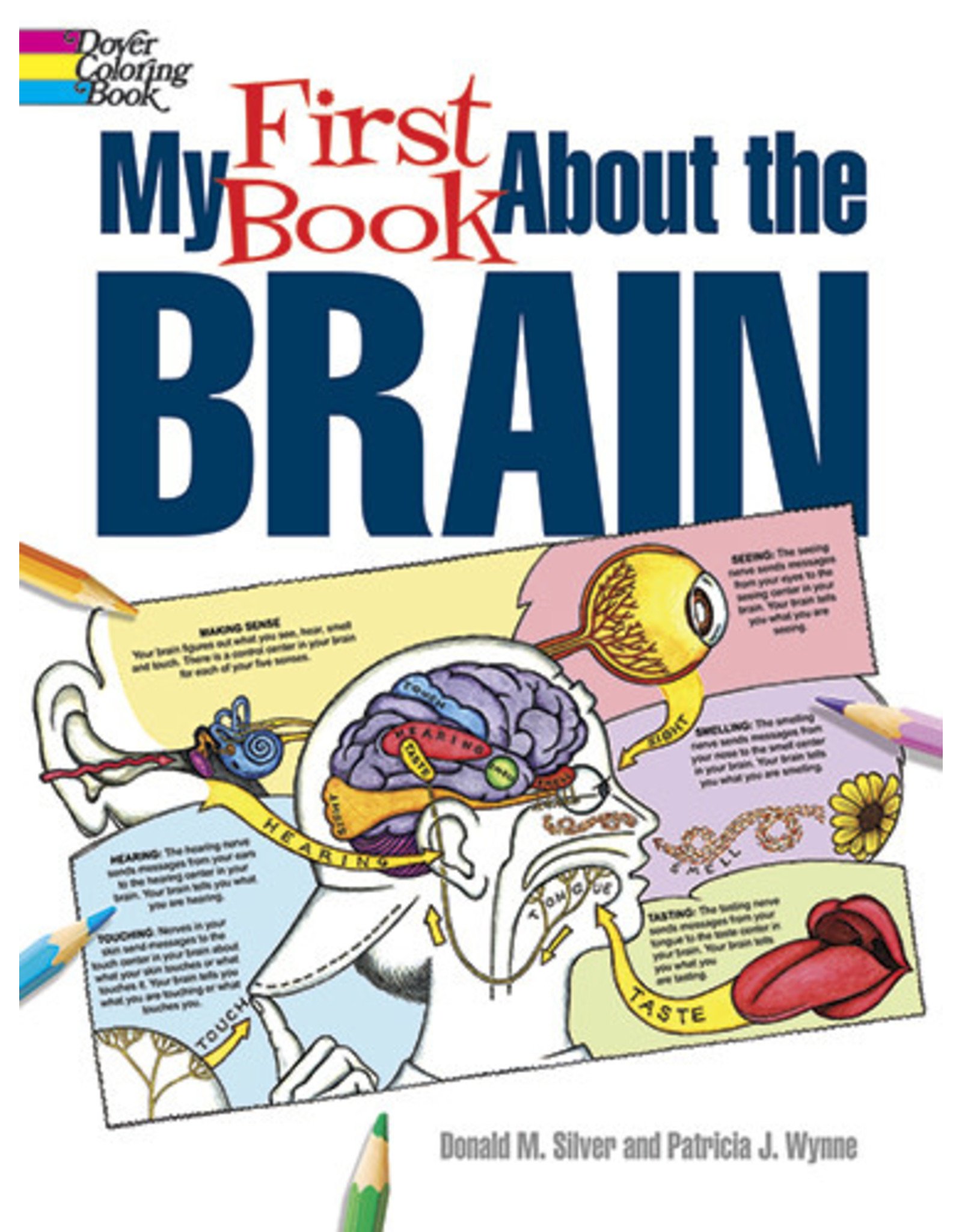 My First Book About the Brain - Patricia J. Wynne and Donald M. Silver