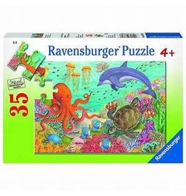 Oceans Friends 35 pc