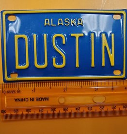 DUSTIN Mini License Plate