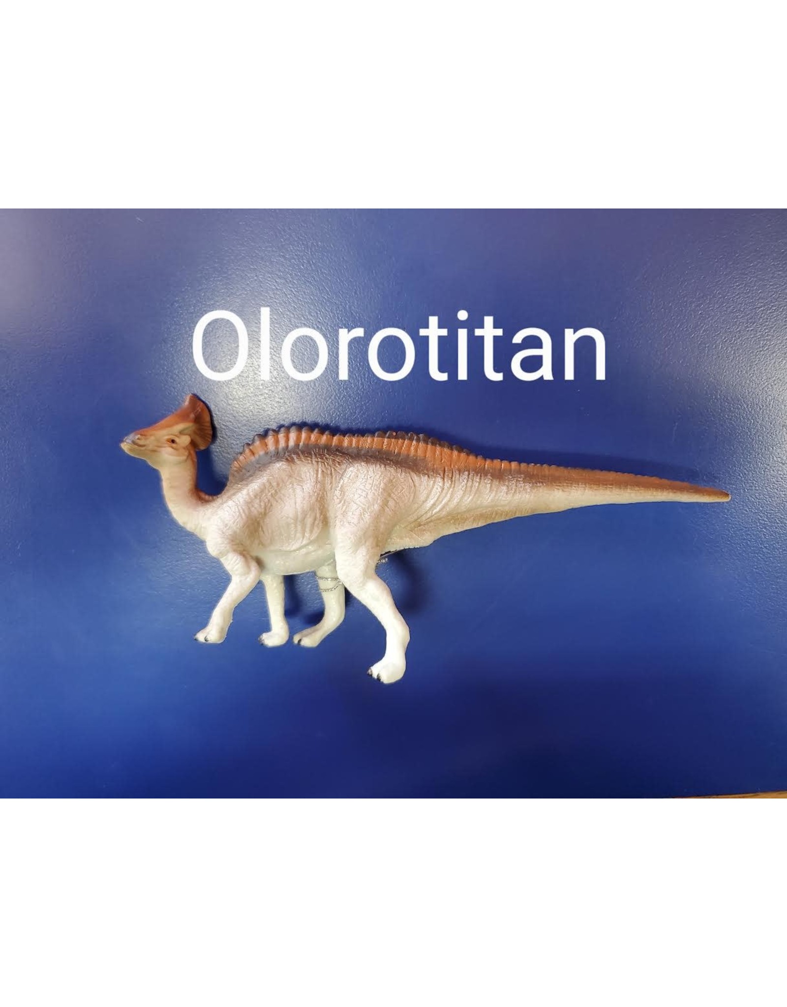 Olorotitan