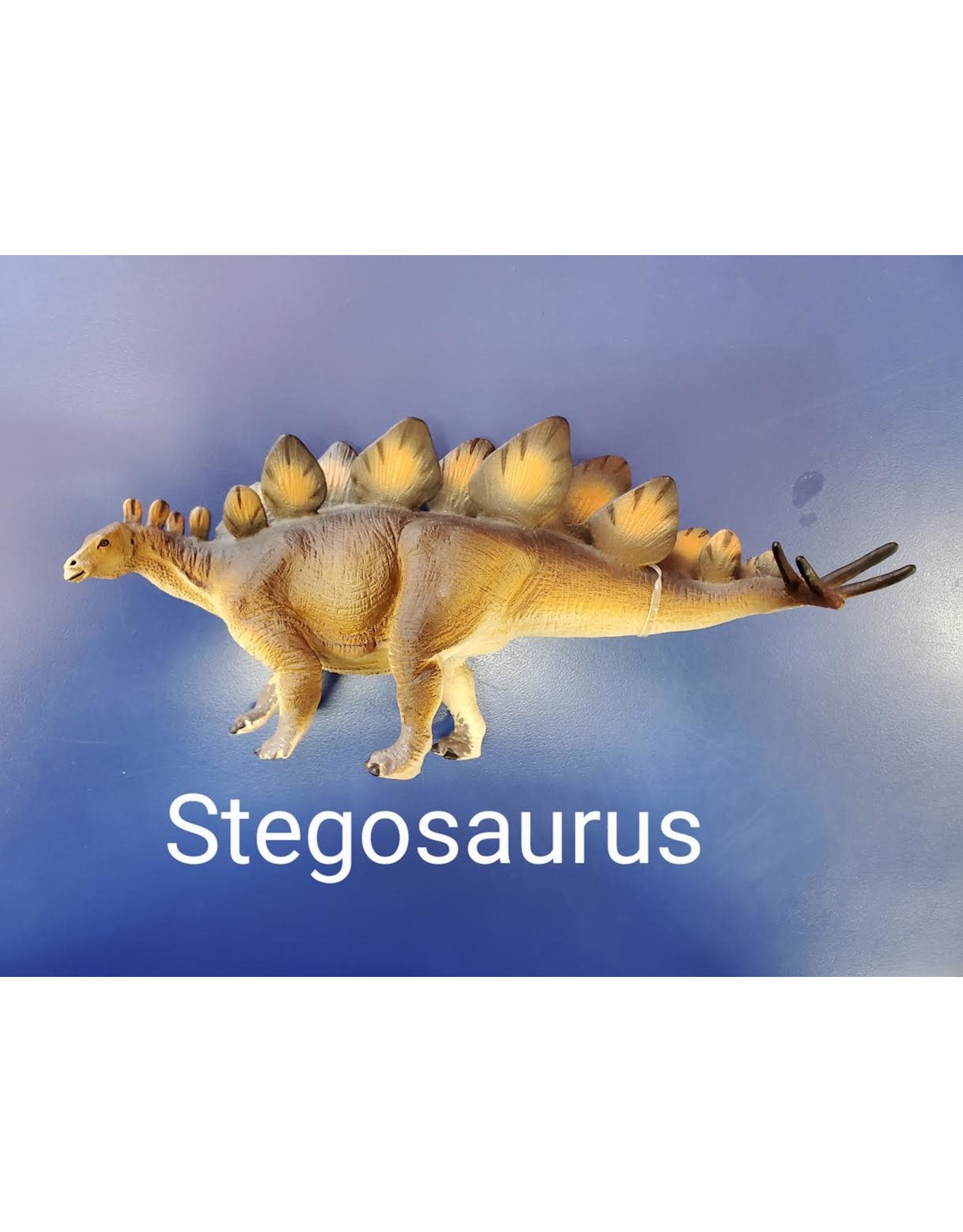 Stegosaurus