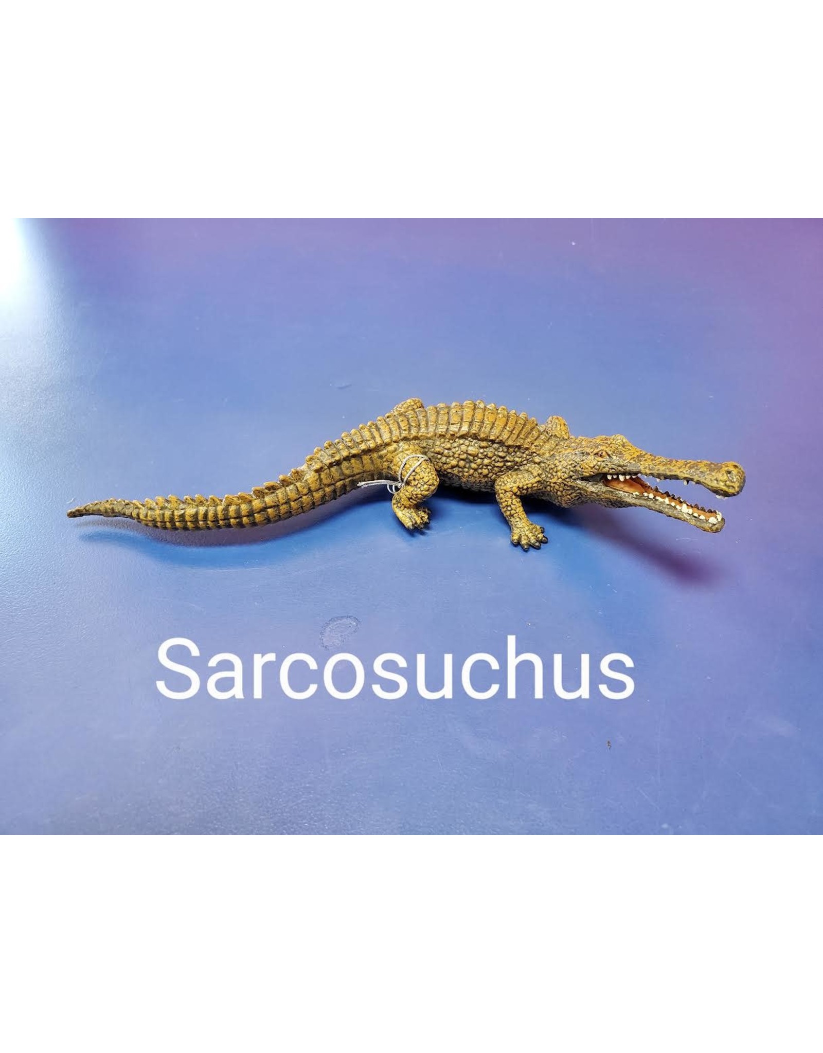 Sarcosuchus