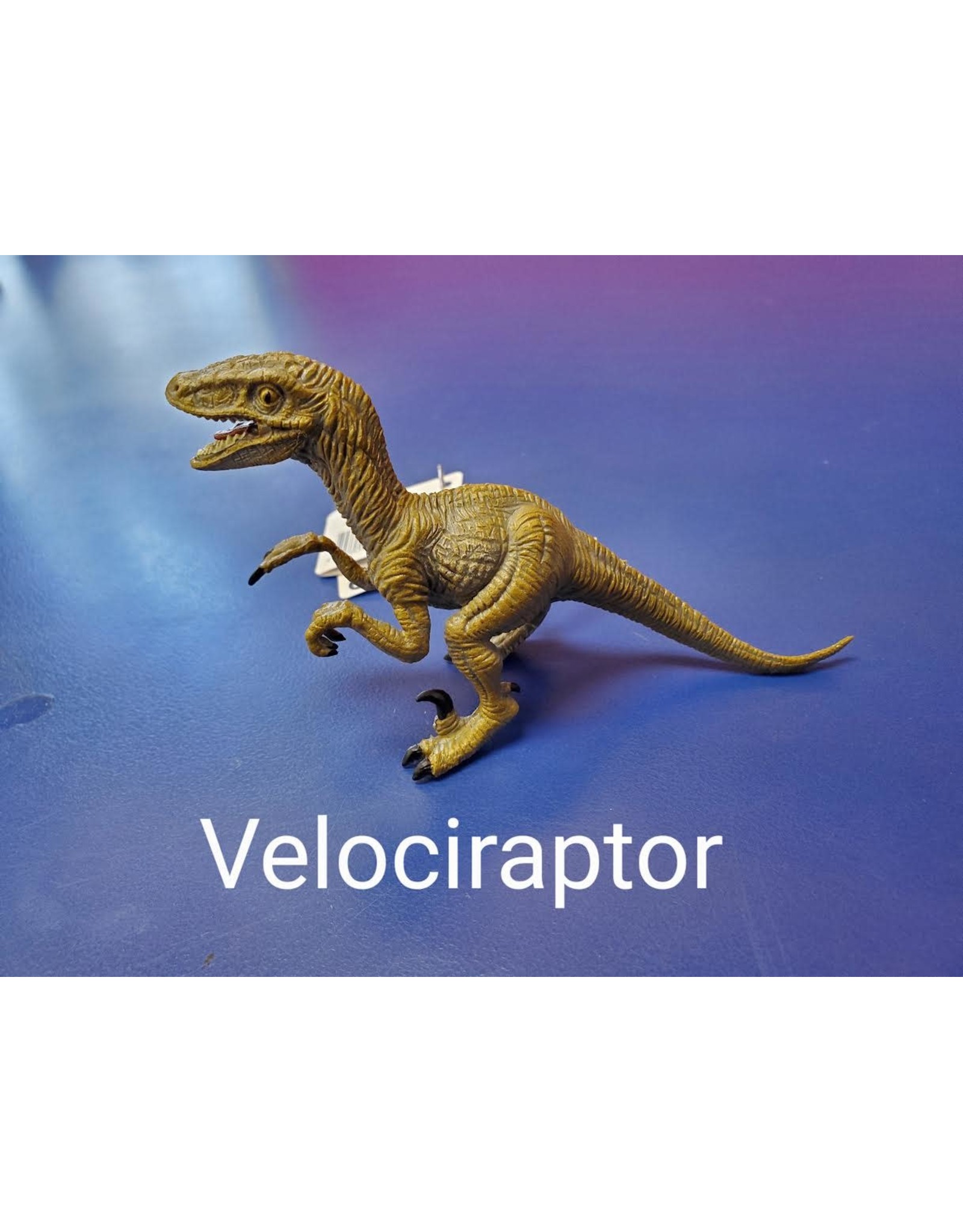 Velociraptor