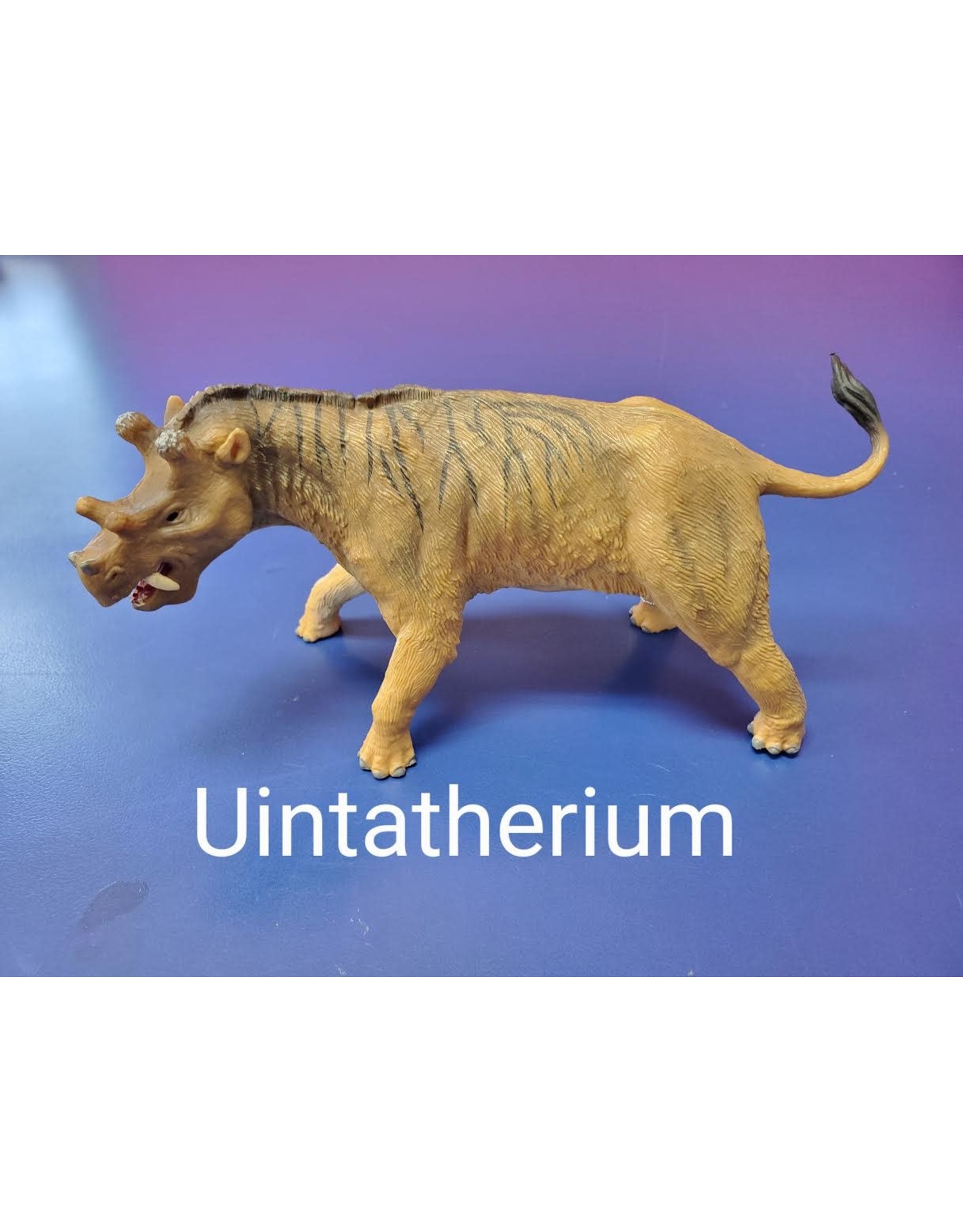 Uintatherium-Deluxe