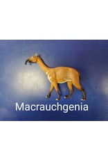 Macrauchgenia