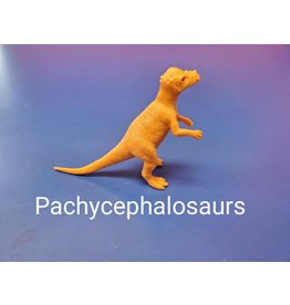 Dinosaur Pachycephalosaurs (Spikes on Head )