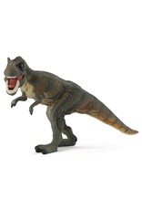 T rex