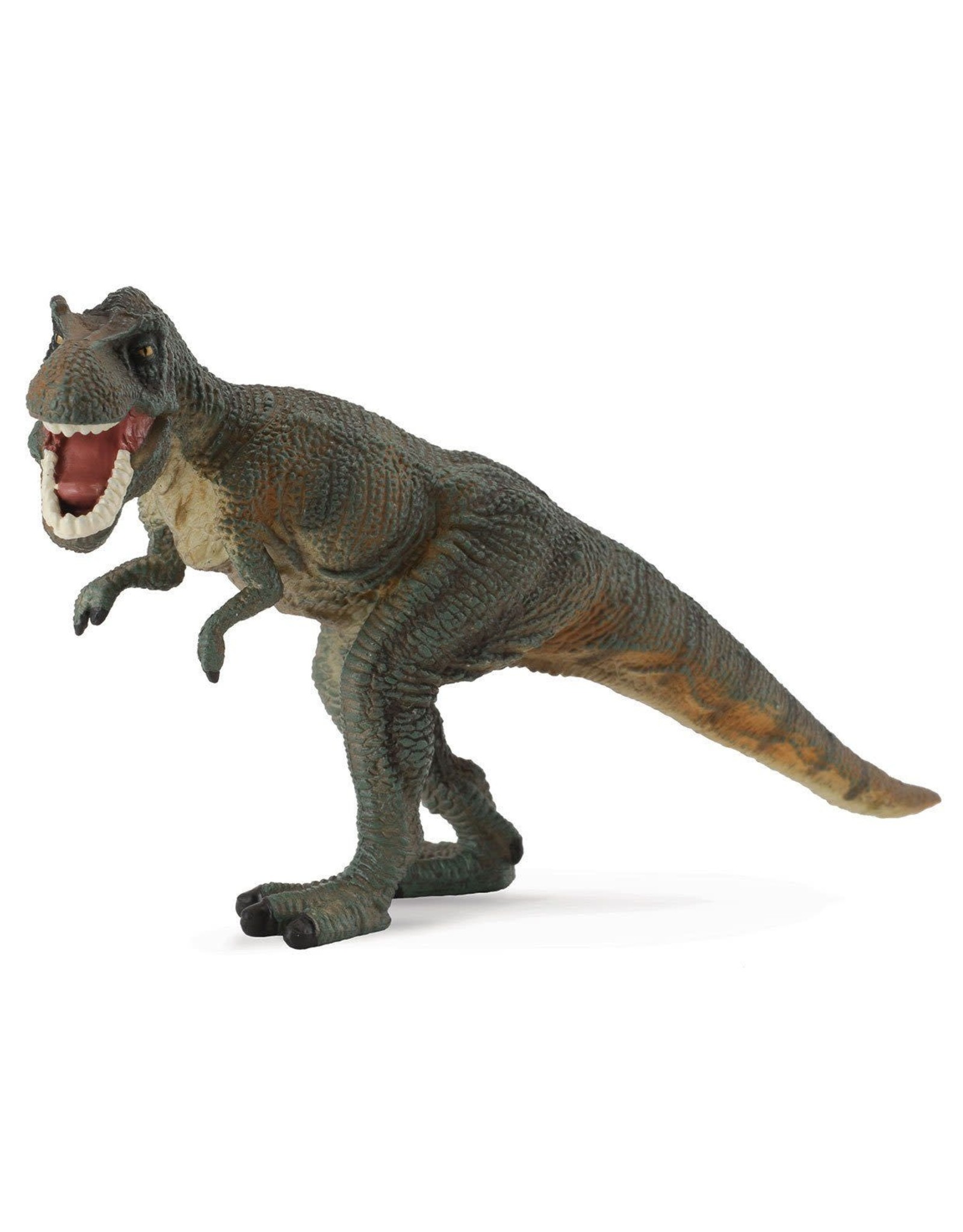 T rex