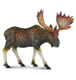 Moose