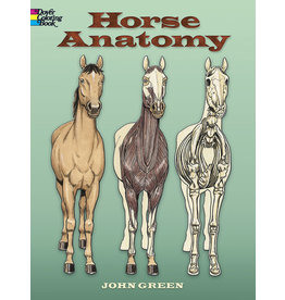 Horse Anatomy - John Green