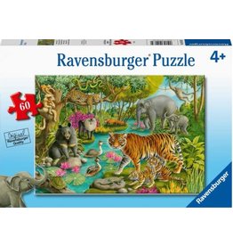 Animals of India 60 pc