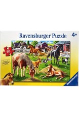 Happy Horses 60 pc