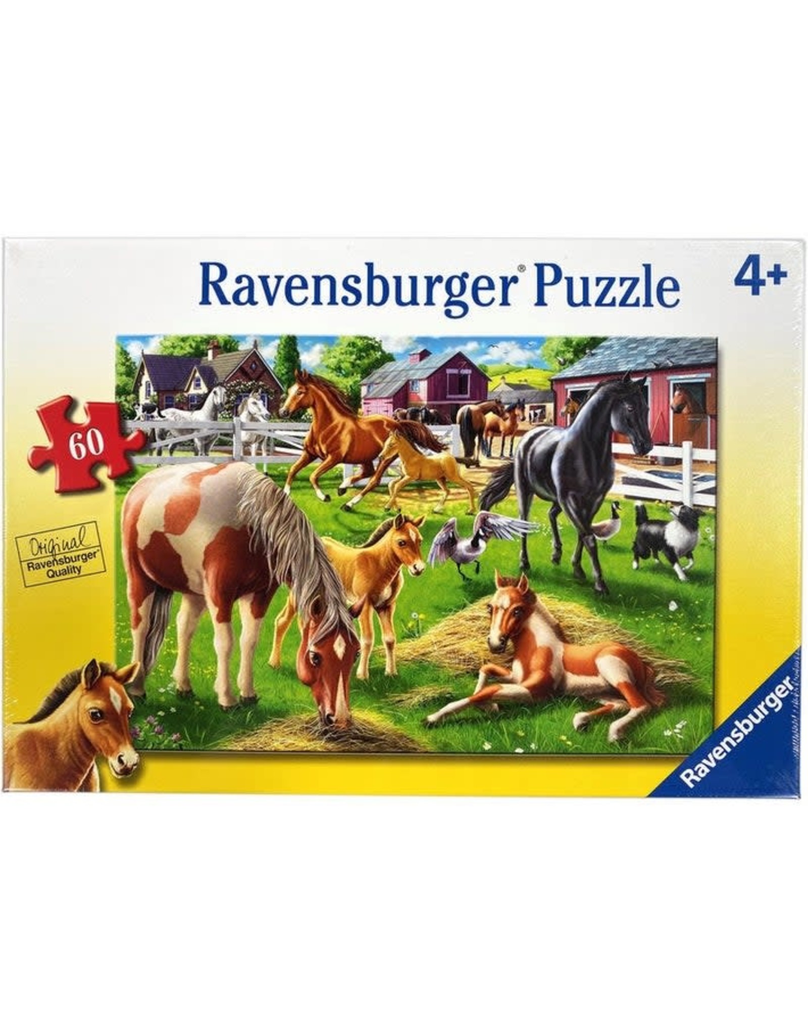 Happy Horses 60 pc