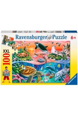 Beautiful Ocean 100 pc