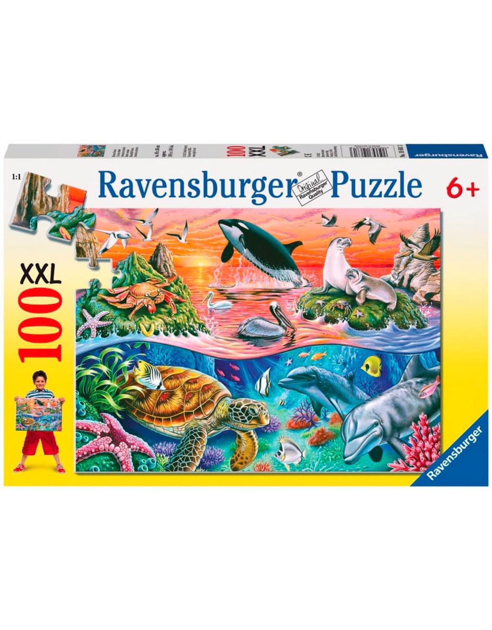 Beautiful Ocean 100 pc