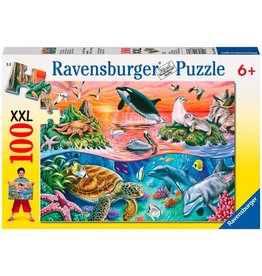Beautiful Ocean 100 pc