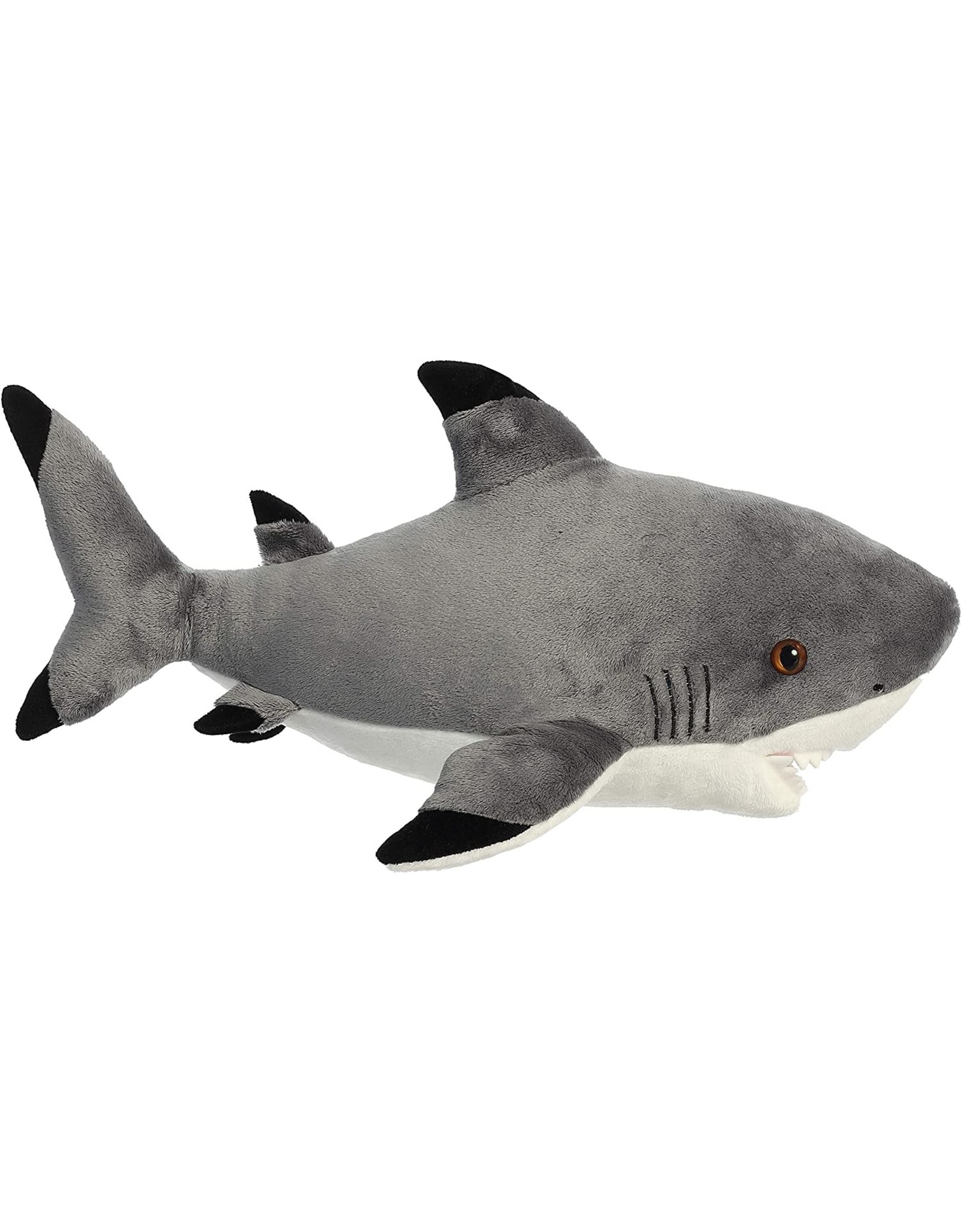 16" Blacktip Shark