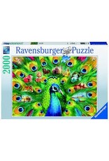 Land of the Peacock 2000 pc
