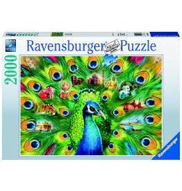 Land of the Peacock 2000 pc