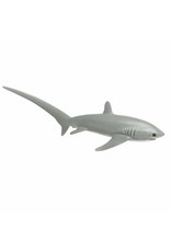 Thresher Shark