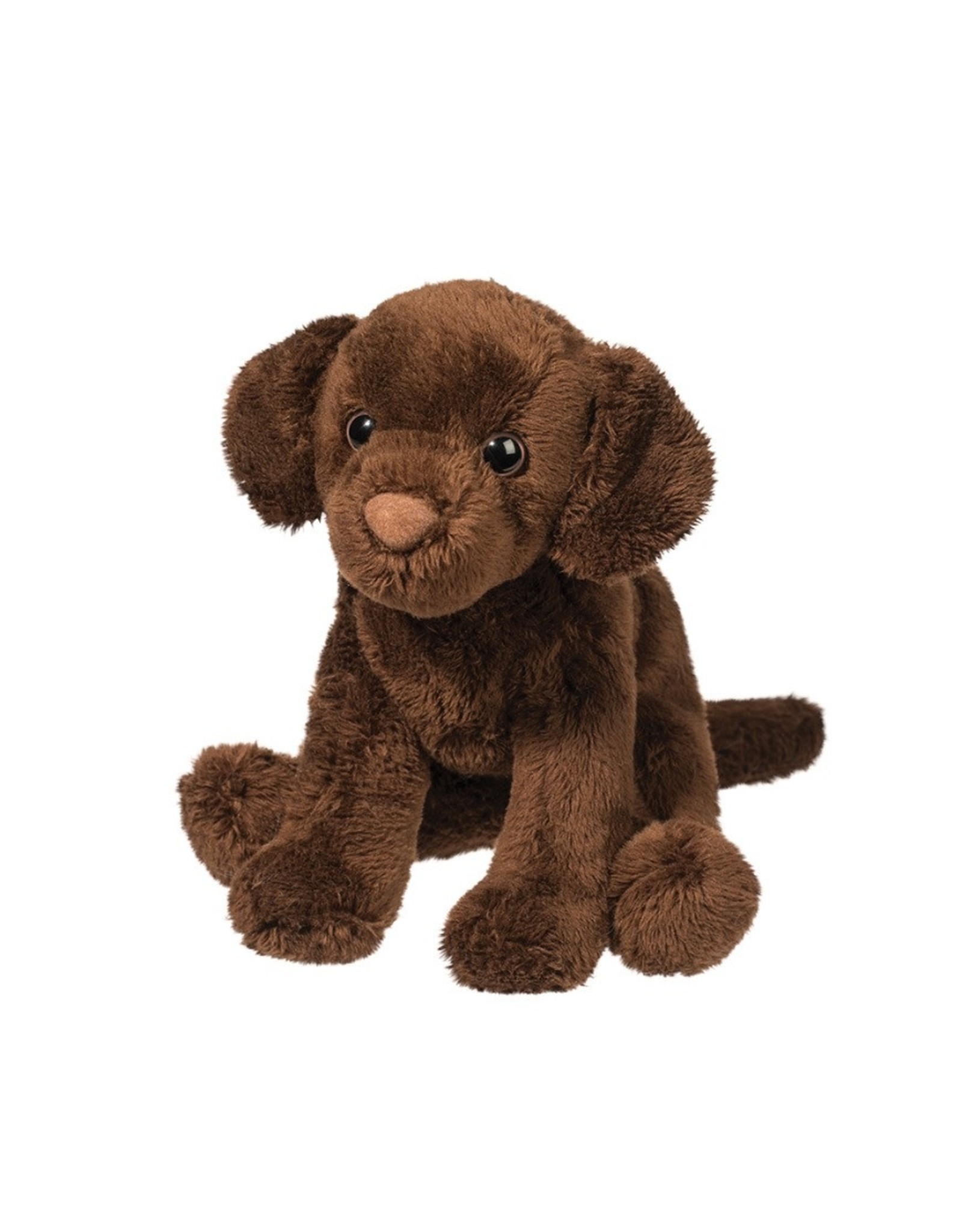 5" Finn Chocolate Lab