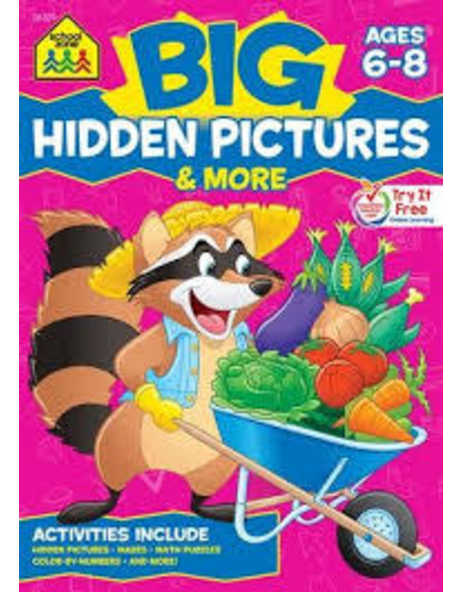 Big Hidden Picture Book